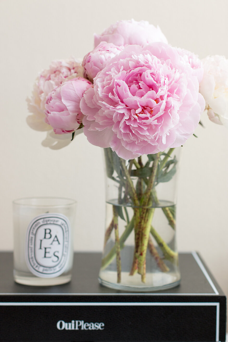 How To Take Care of Your Diptyque Candle how to take care of your diptyque candles everyday parisian