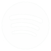 spotify icon