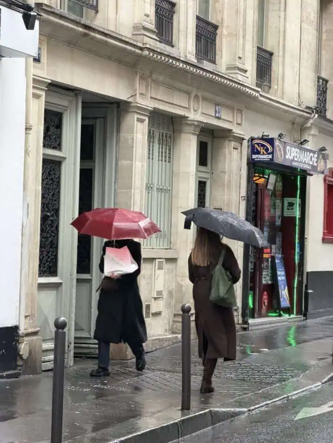 chocolate brown Paris