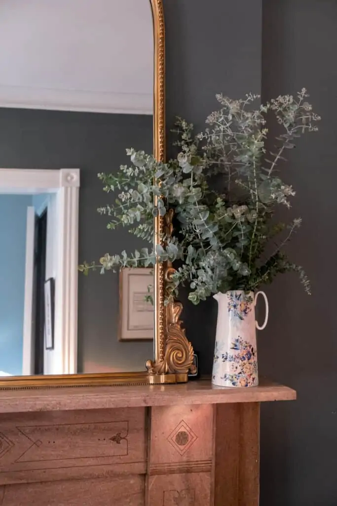 Eucalyptus or Hydrangeas plants Eucalyptus or Hydrangeas plants to transition your home for fall