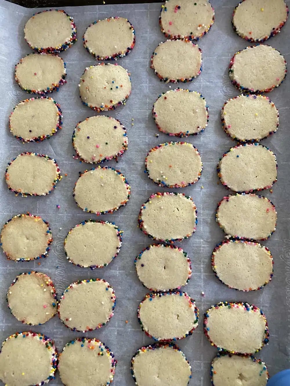 rainbow sprinkle cookies everyday parisian