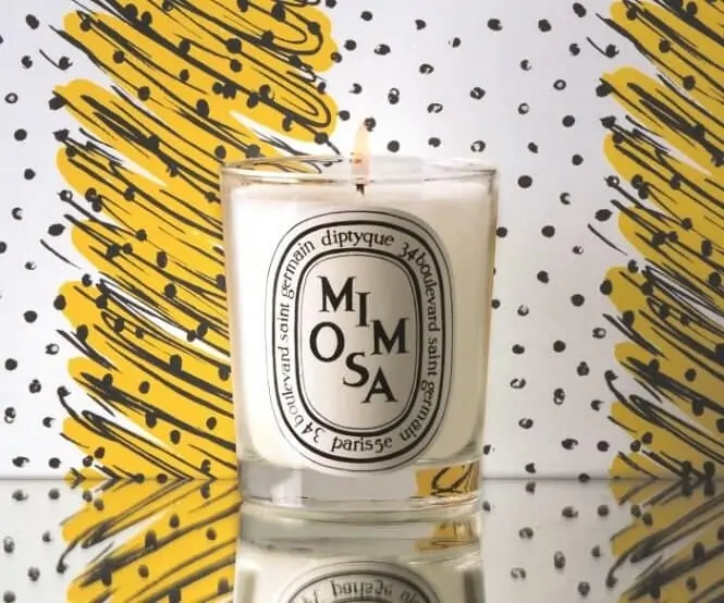 mimosa diptyque candle mimosa diptyque candle