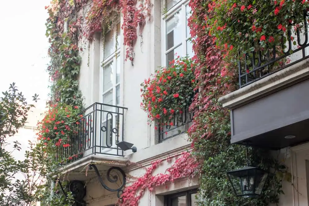 boutique hotel Paris Pavillon de la Reine