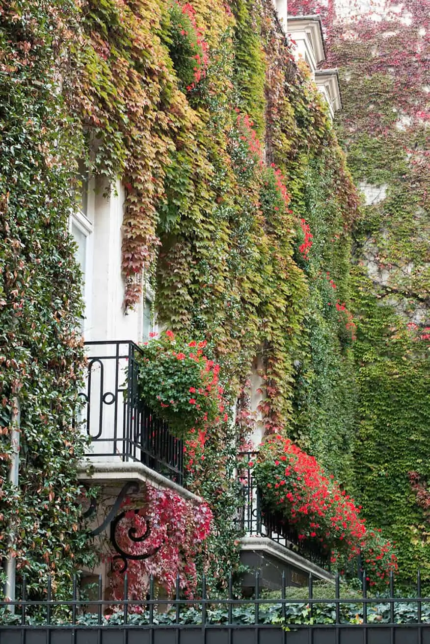 the best honeymoon hotels in paris everydayparisian