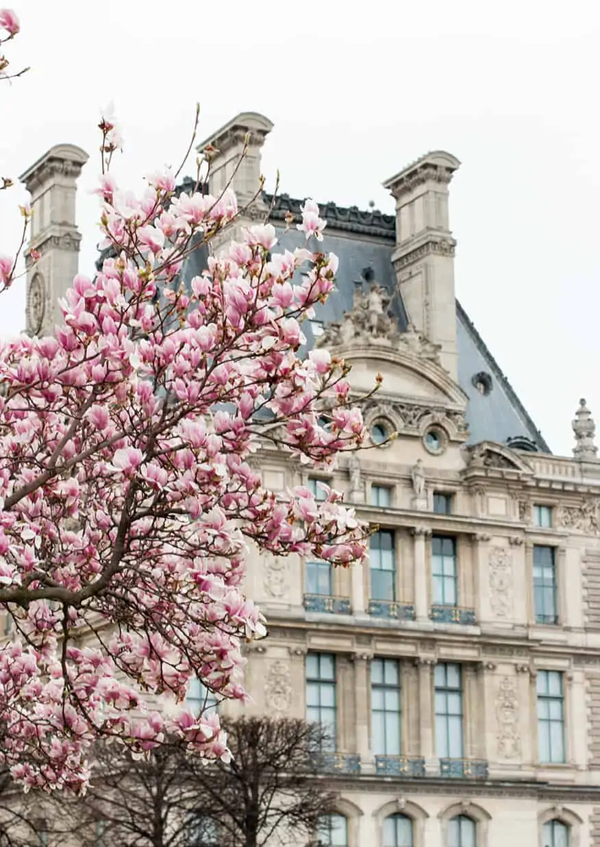 Shop Tuileries Garden in Bloom Print Here