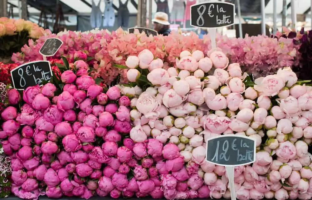 Shop Paris Peonies Market Print Here