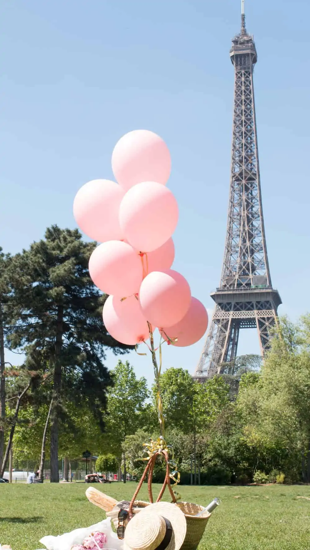 where to picnic in paris