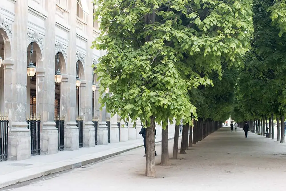 where to picnic in paris