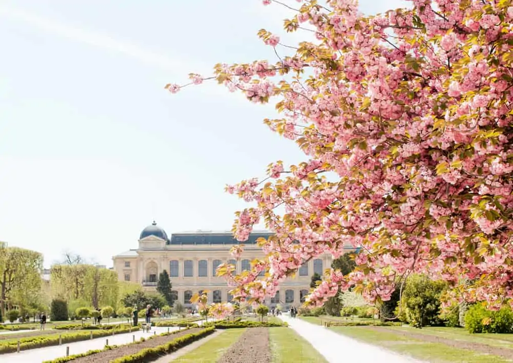 Jardin des Plantes in Bloom
