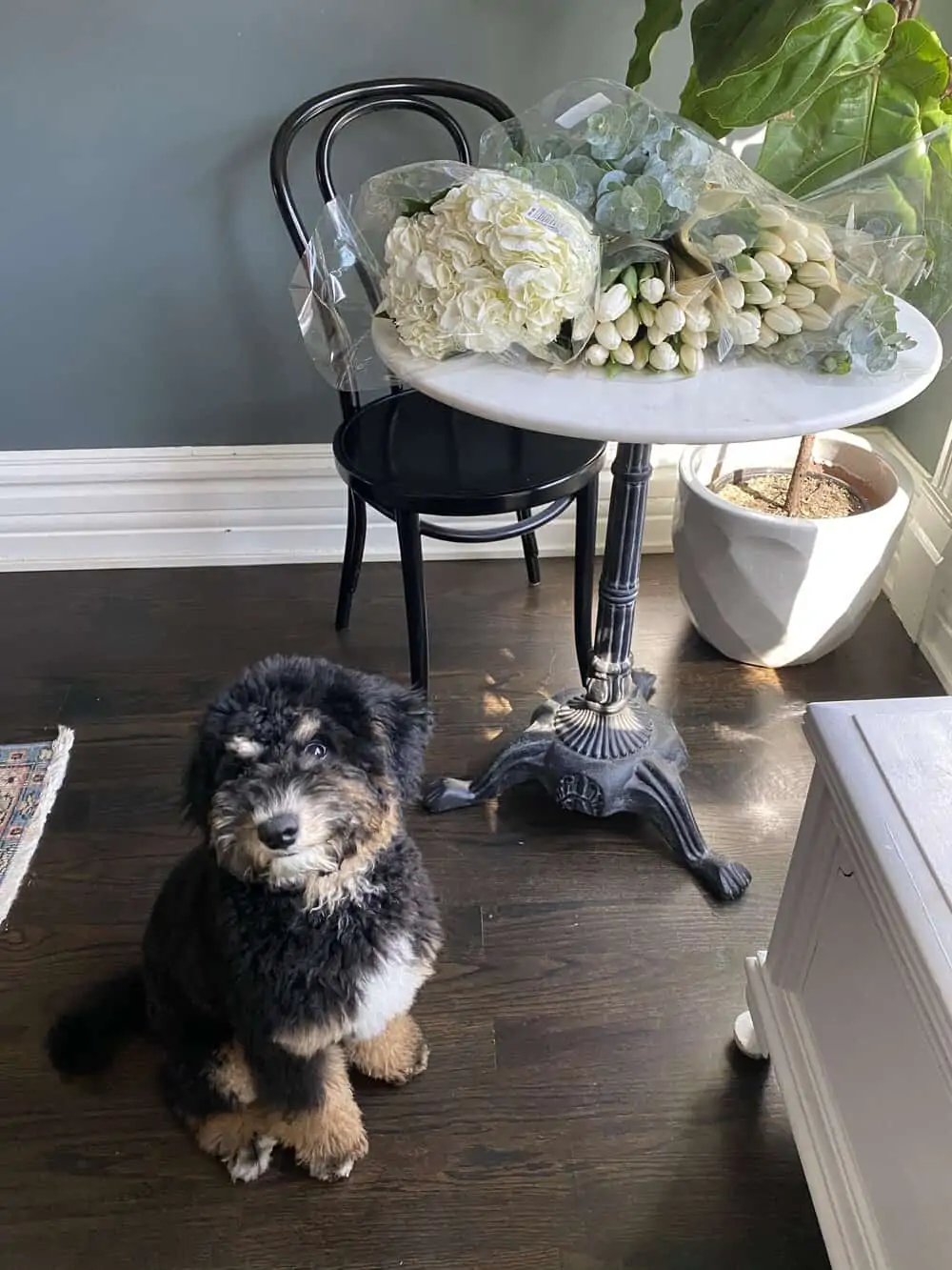 frenchify your spring everyday parisian