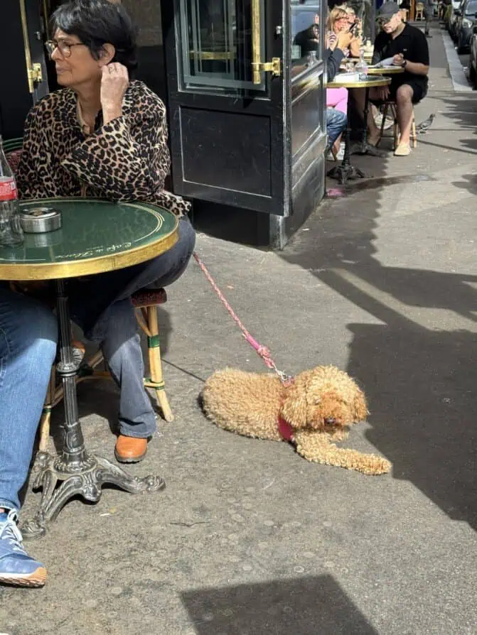 Leopard coat trending in Paris Fall 2025