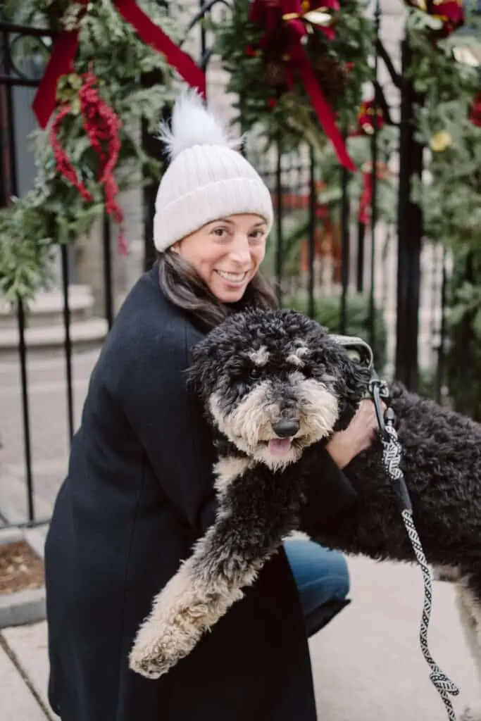 Best Puppy Training tips The Best Puppy Training Advice