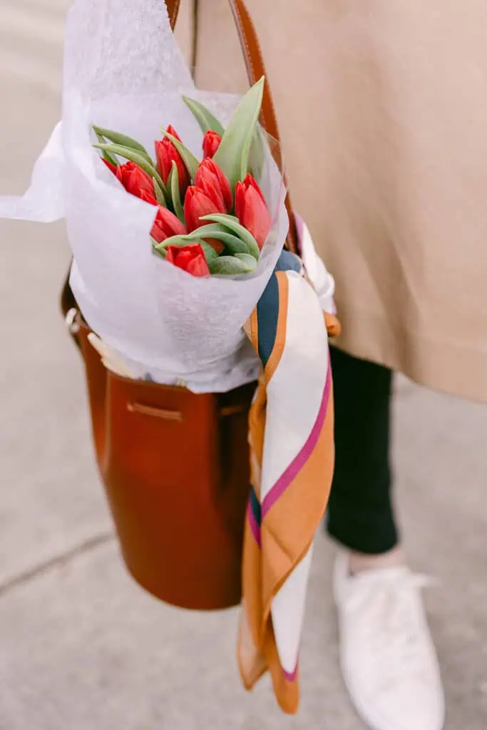 Paris farrow Sézane bag with scarf