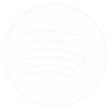 spotify icon